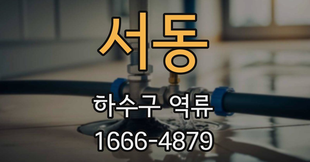 서동 하수구 역류