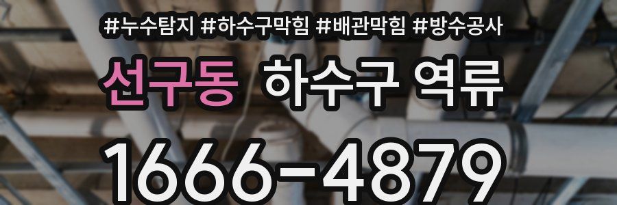 선구동 하수구 역류
