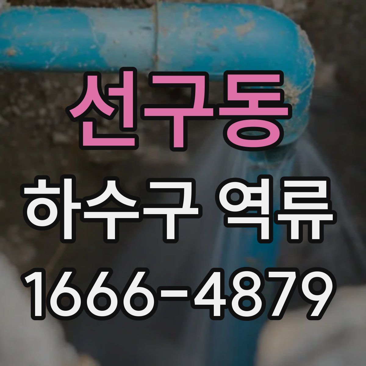 선구동 하수구 역류