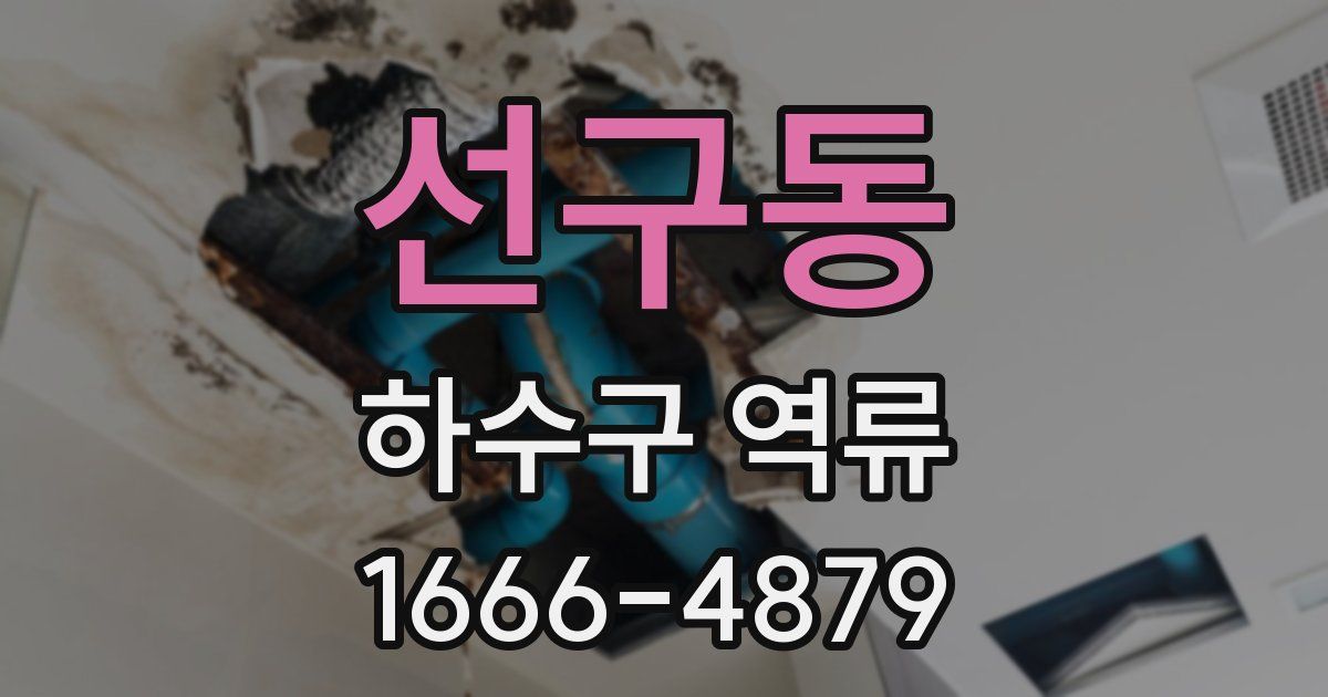 선구동 하수구 역류