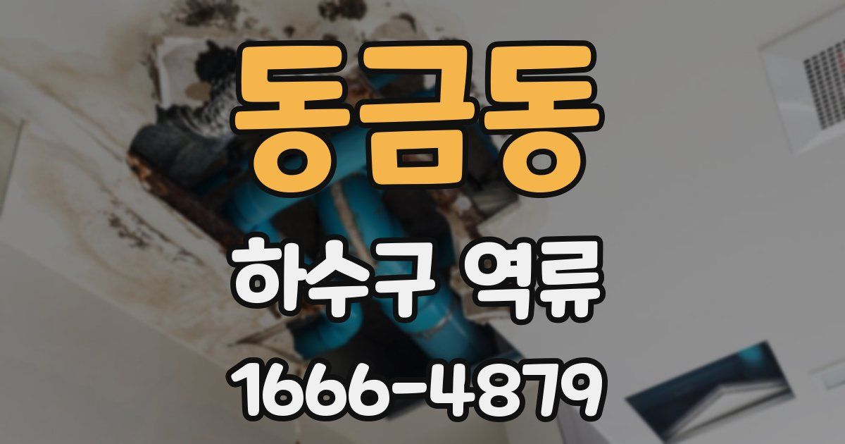 동금동 하수구 역류