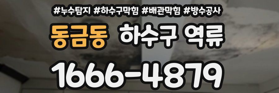 동금동 하수구 역류