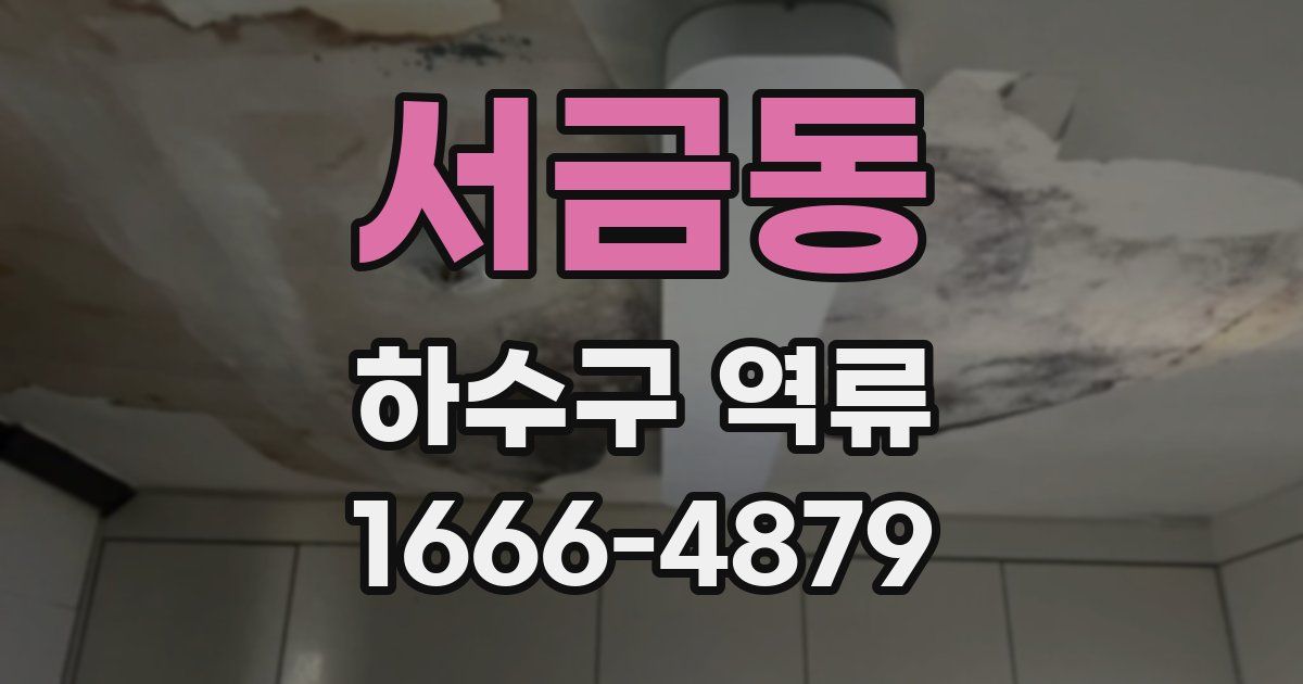 서금동 하수구 역류