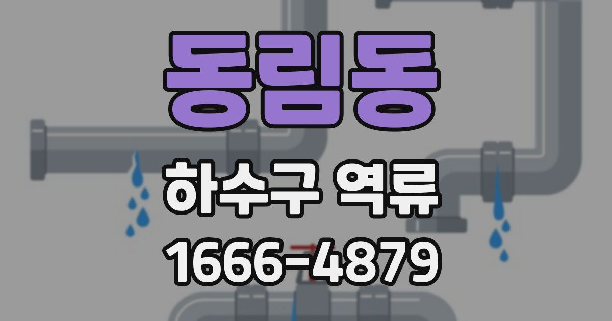 동림동 하수구 역류