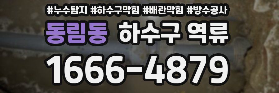 동림동 하수구 역류