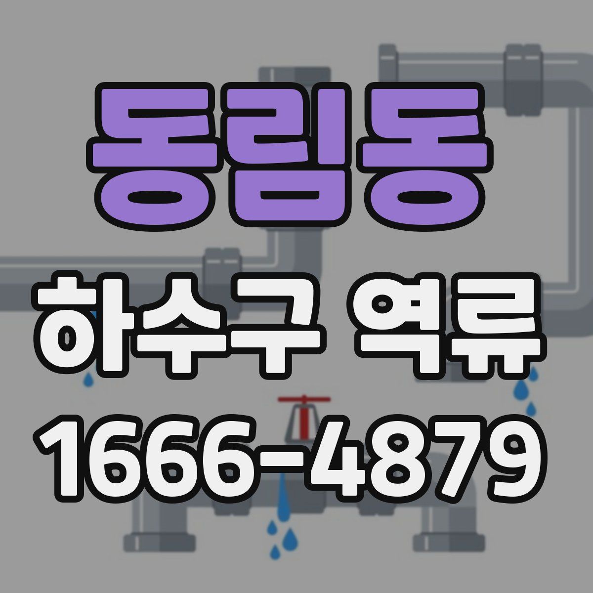 동림동 하수구 역류