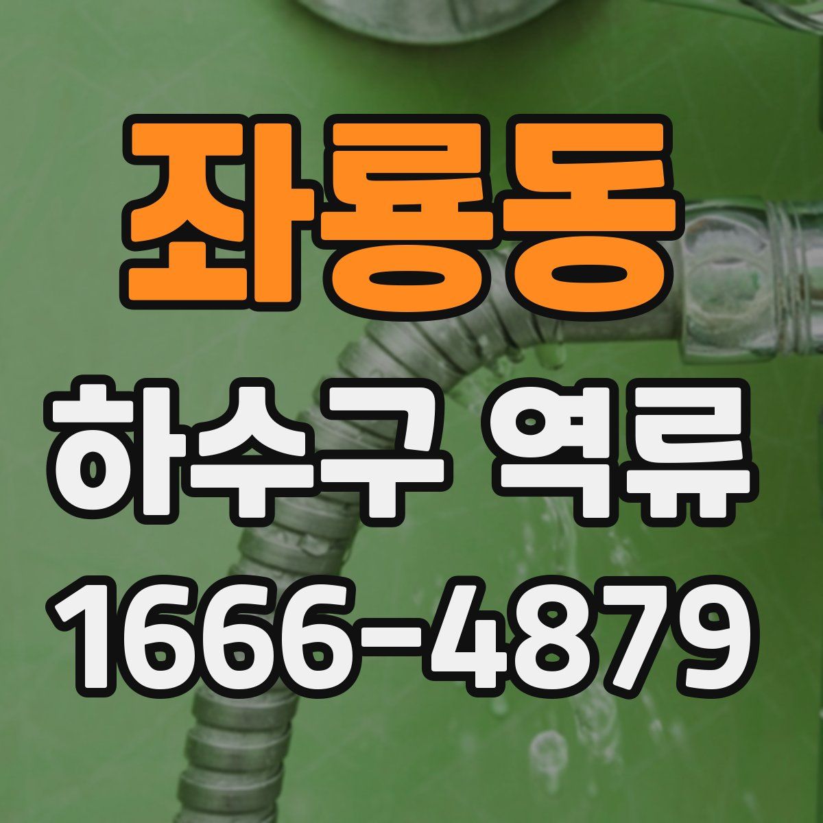 좌룡동 하수구 역류