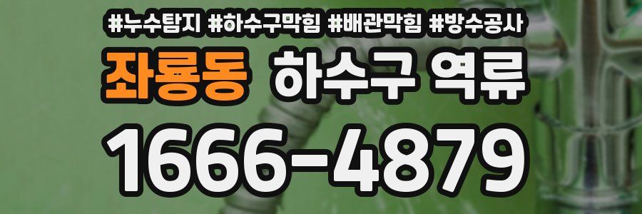 좌룡동 하수구 역류
