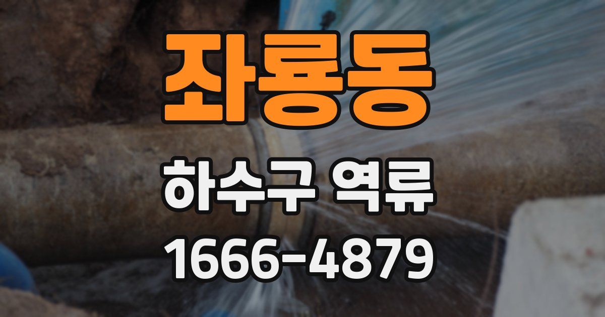 좌룡동 하수구 역류