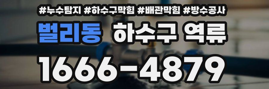 벌리동 하수구 역류