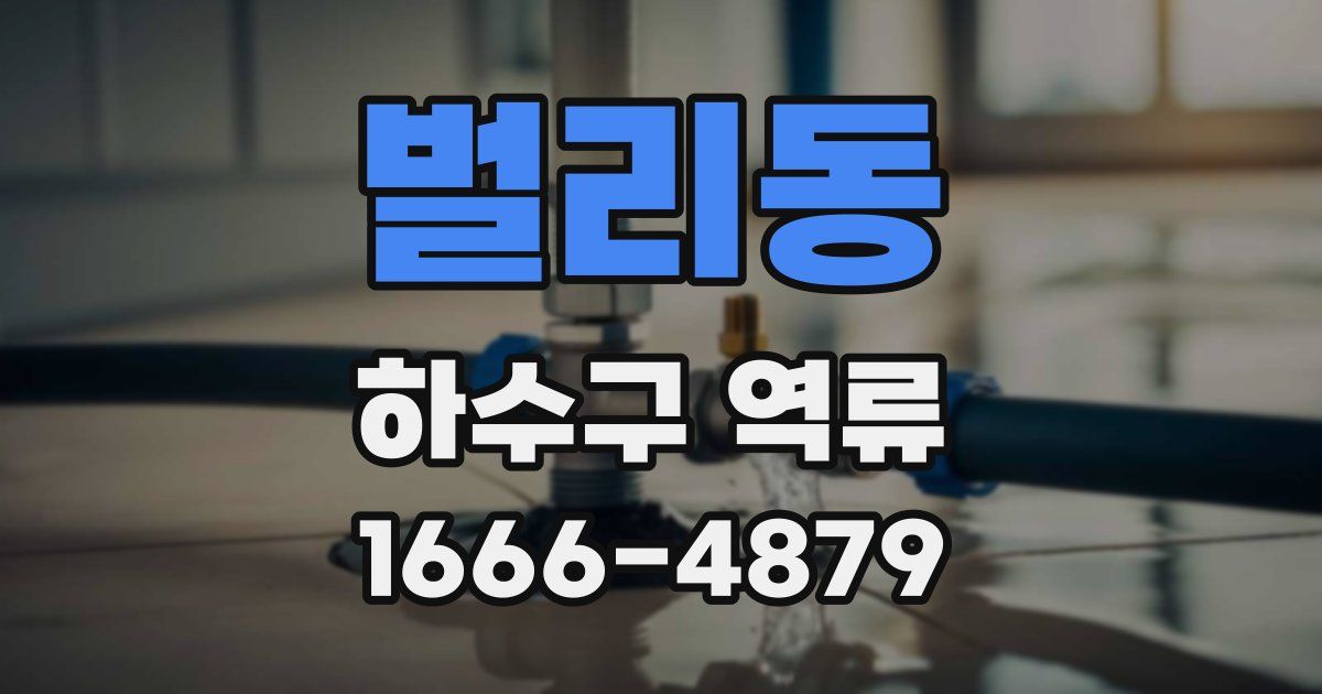벌리동 하수구 역류