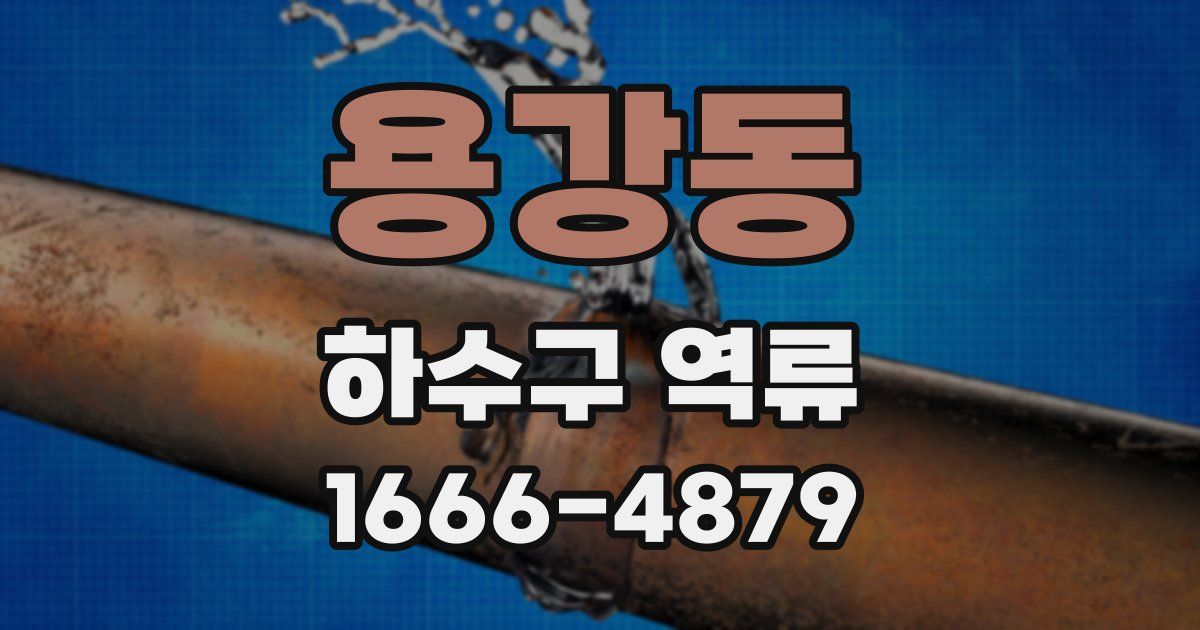 용강동 하수구 역류