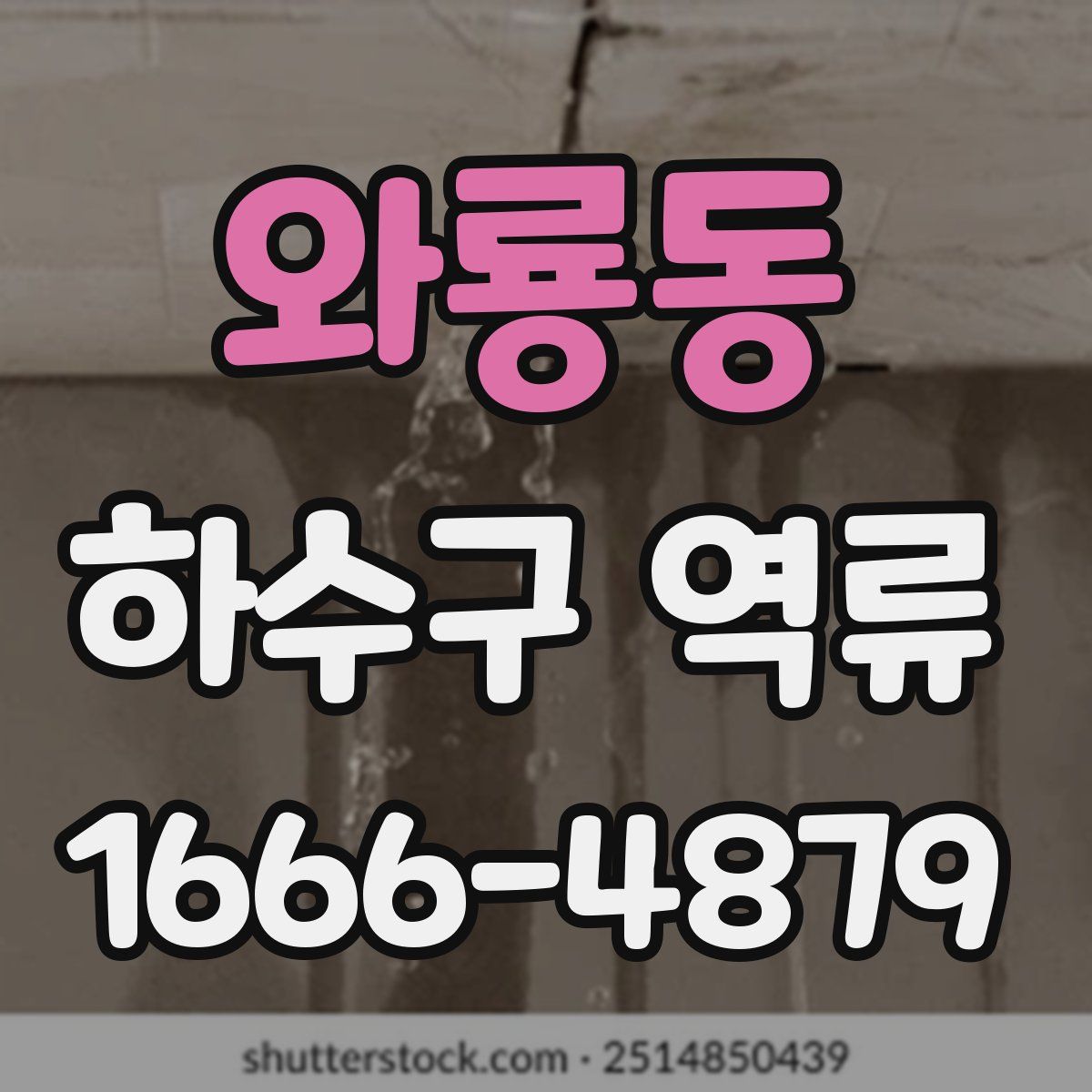 와룡동 하수구 역류