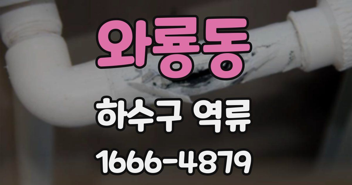 와룡동 하수구 역류