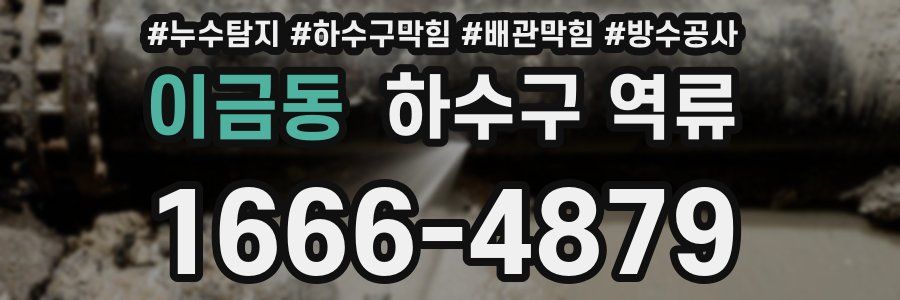 이금동 하수구 역류