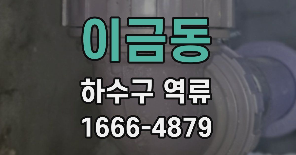 이금동 하수구 역류