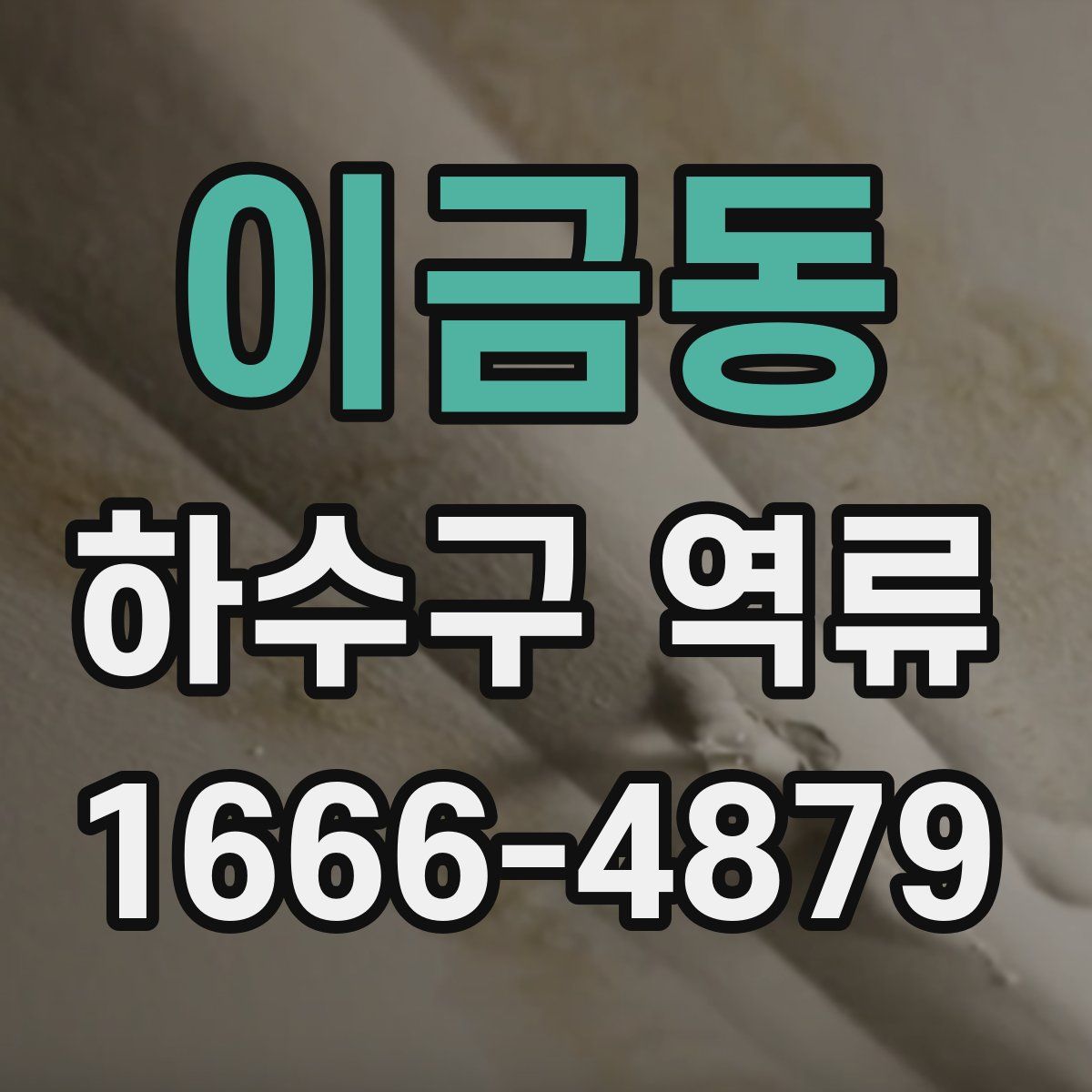 이금동 하수구 역류