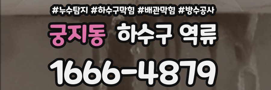 궁지동 하수구 역류
