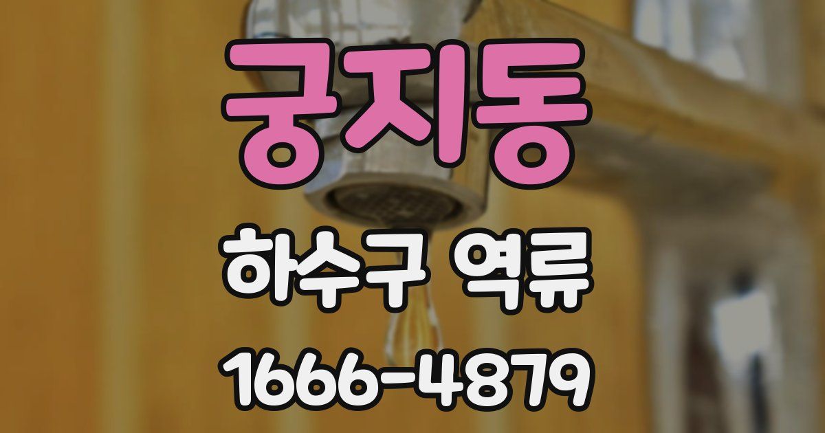 궁지동 하수구 역류