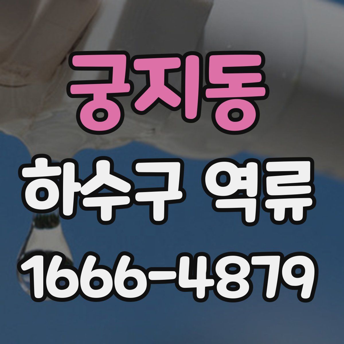 궁지동 하수구 역류