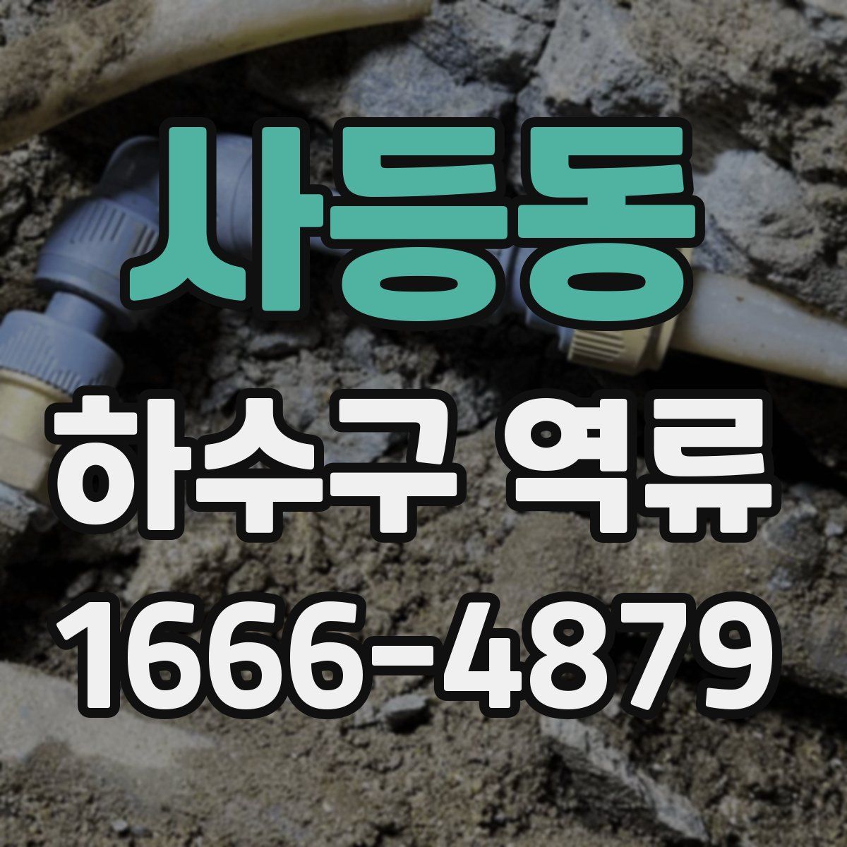 사등동 하수구 역류