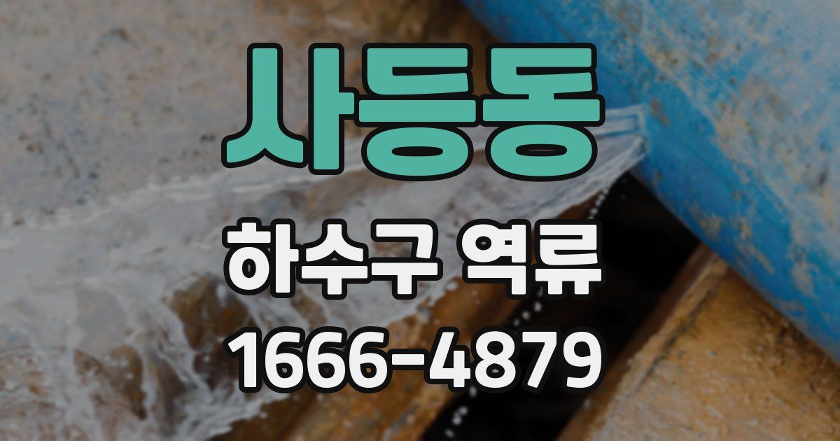 사등동 하수구 역류
