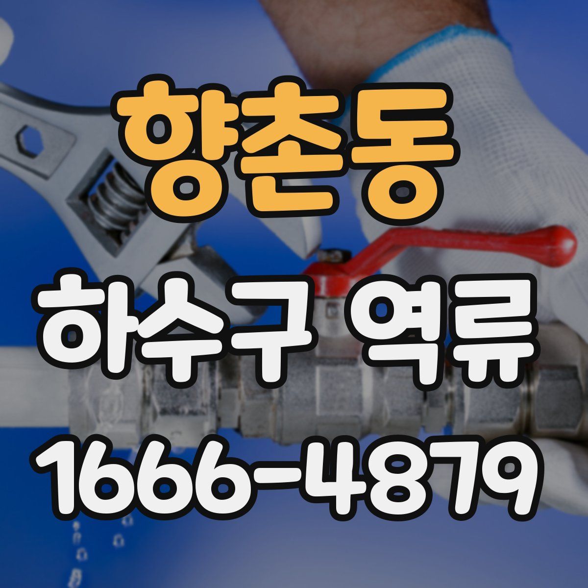 향촌동 하수구 역류