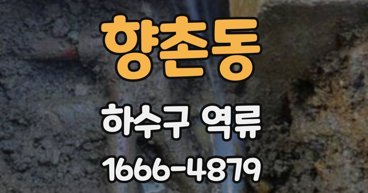 향촌동 하수구 역류