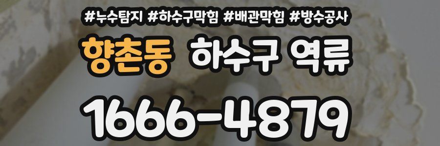 향촌동 하수구 역류