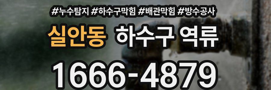 실안동 하수구 역류