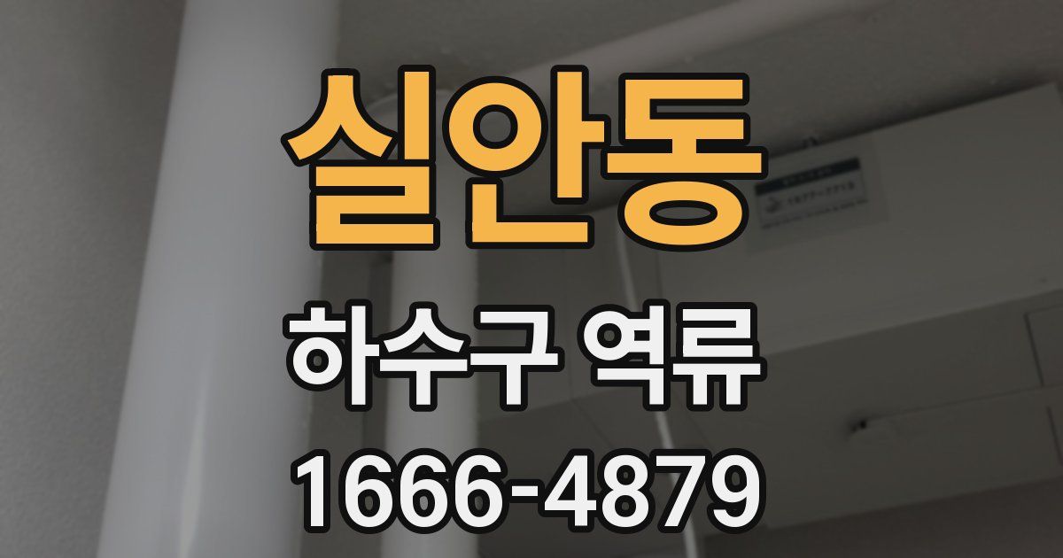 실안동 하수구 역류