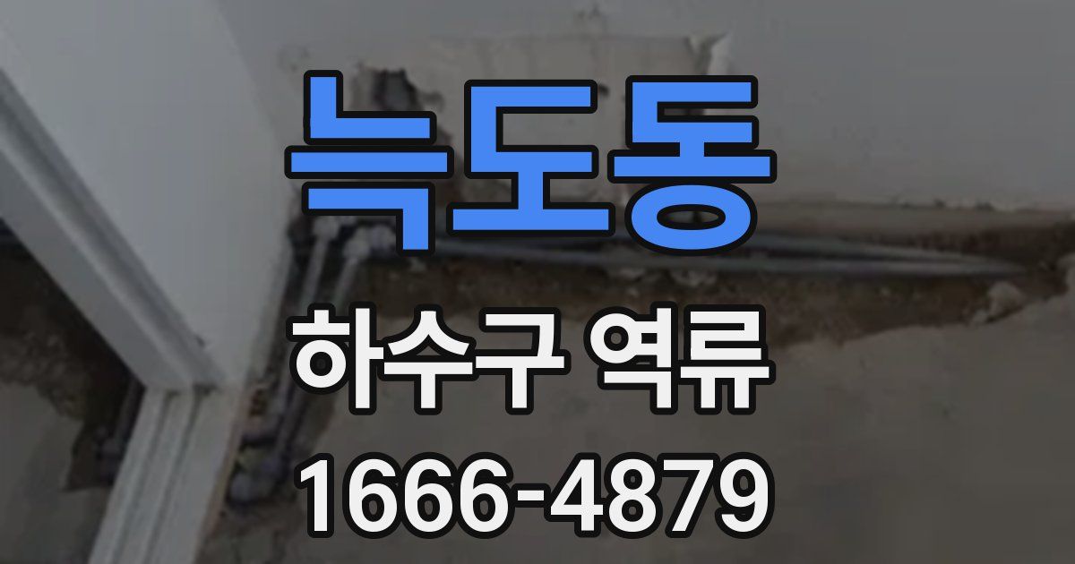 늑도동 하수구 역류