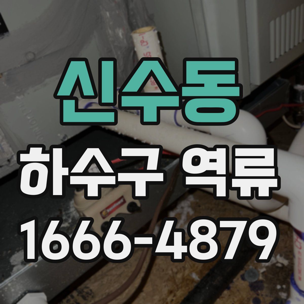 신수동 하수구 역류