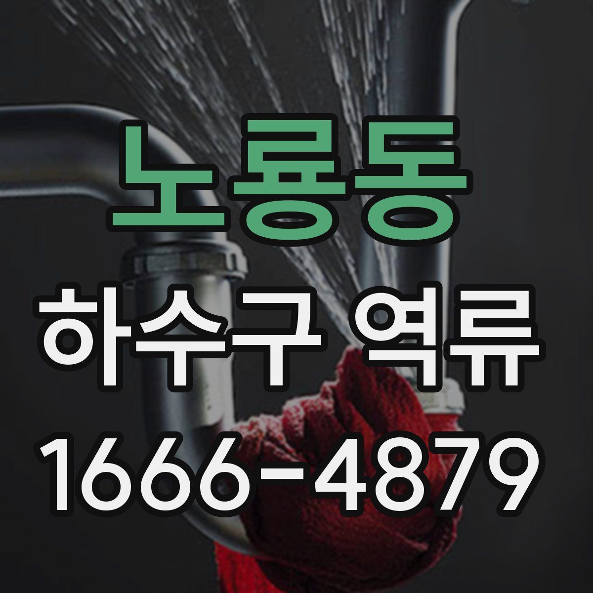 노룡동 하수구 역류