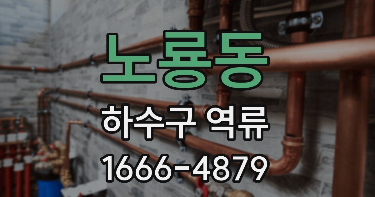 노룡동 하수구 역류