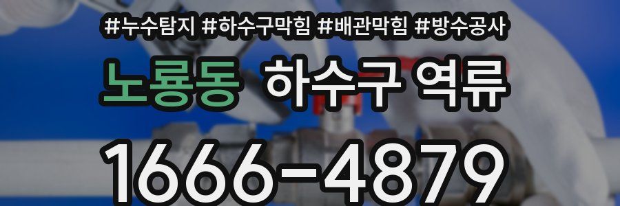 노룡동 하수구 역류