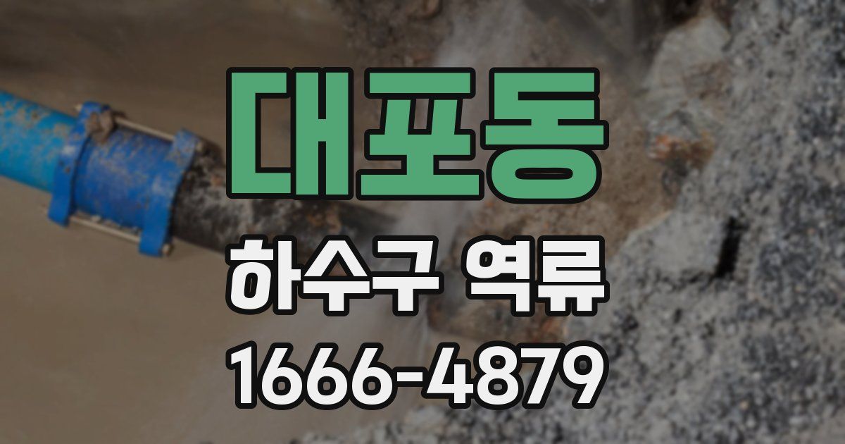 대포동 하수구 역류