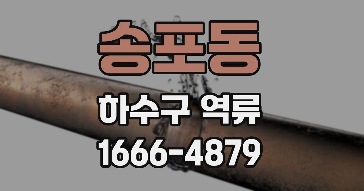 송포동 하수구 역류
