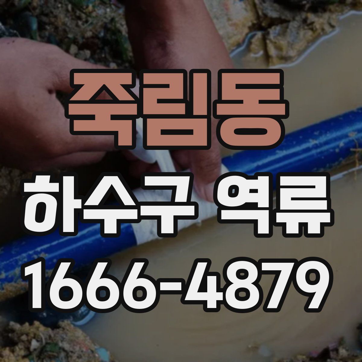 죽림동 하수구 역류