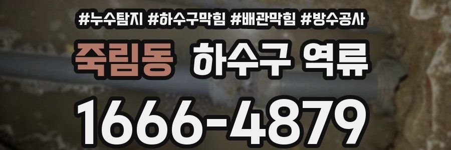 죽림동 하수구 역류