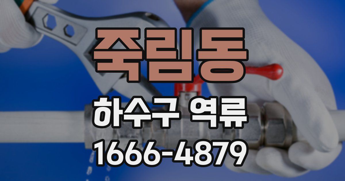 죽림동 하수구 역류