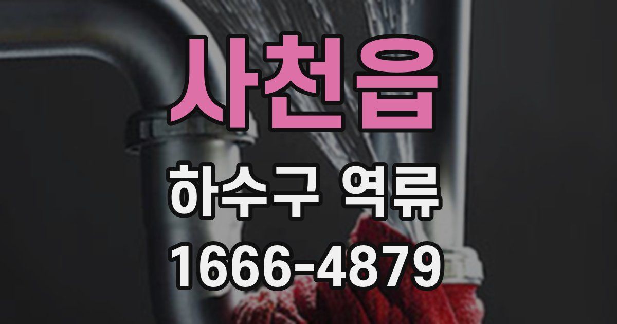 사천읍 하수구 역류