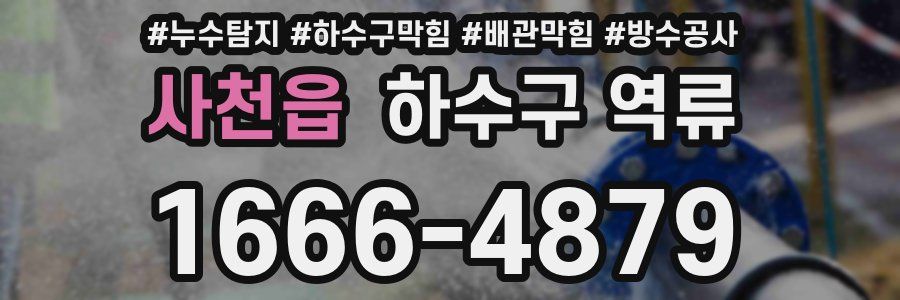 사천읍 하수구 역류