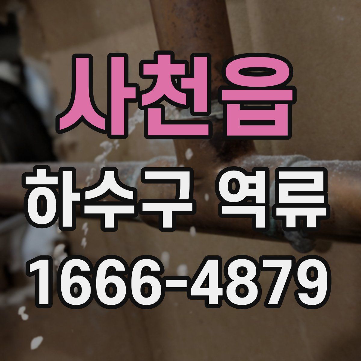 사천읍 하수구 역류