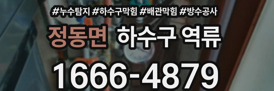 정동면 하수구 역류