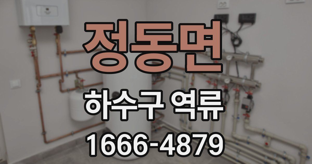 정동면 하수구 역류