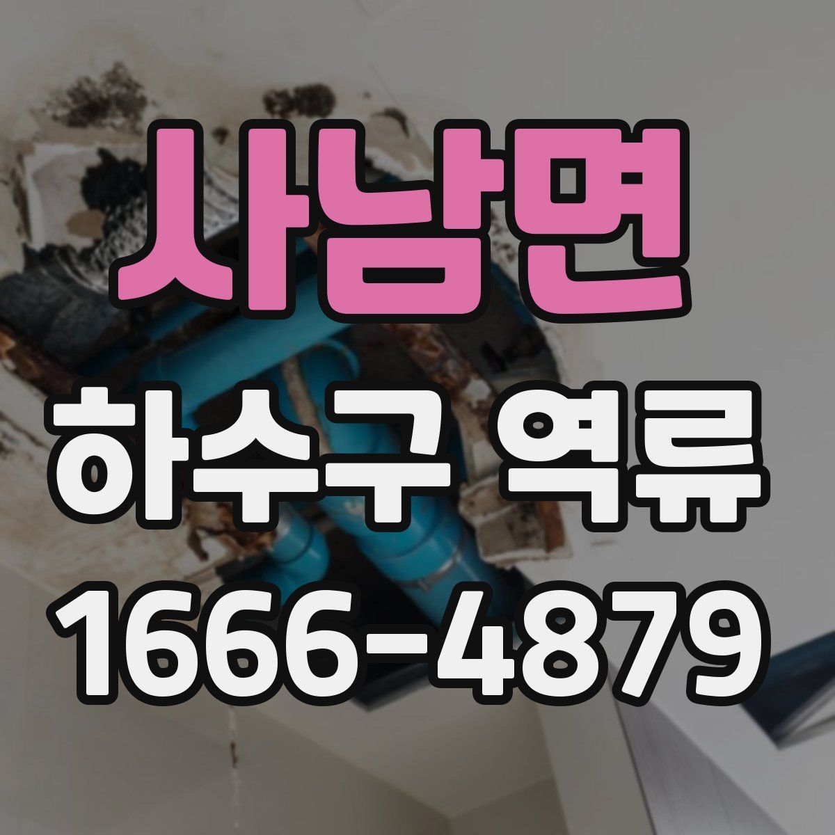 사남면 하수구 역류