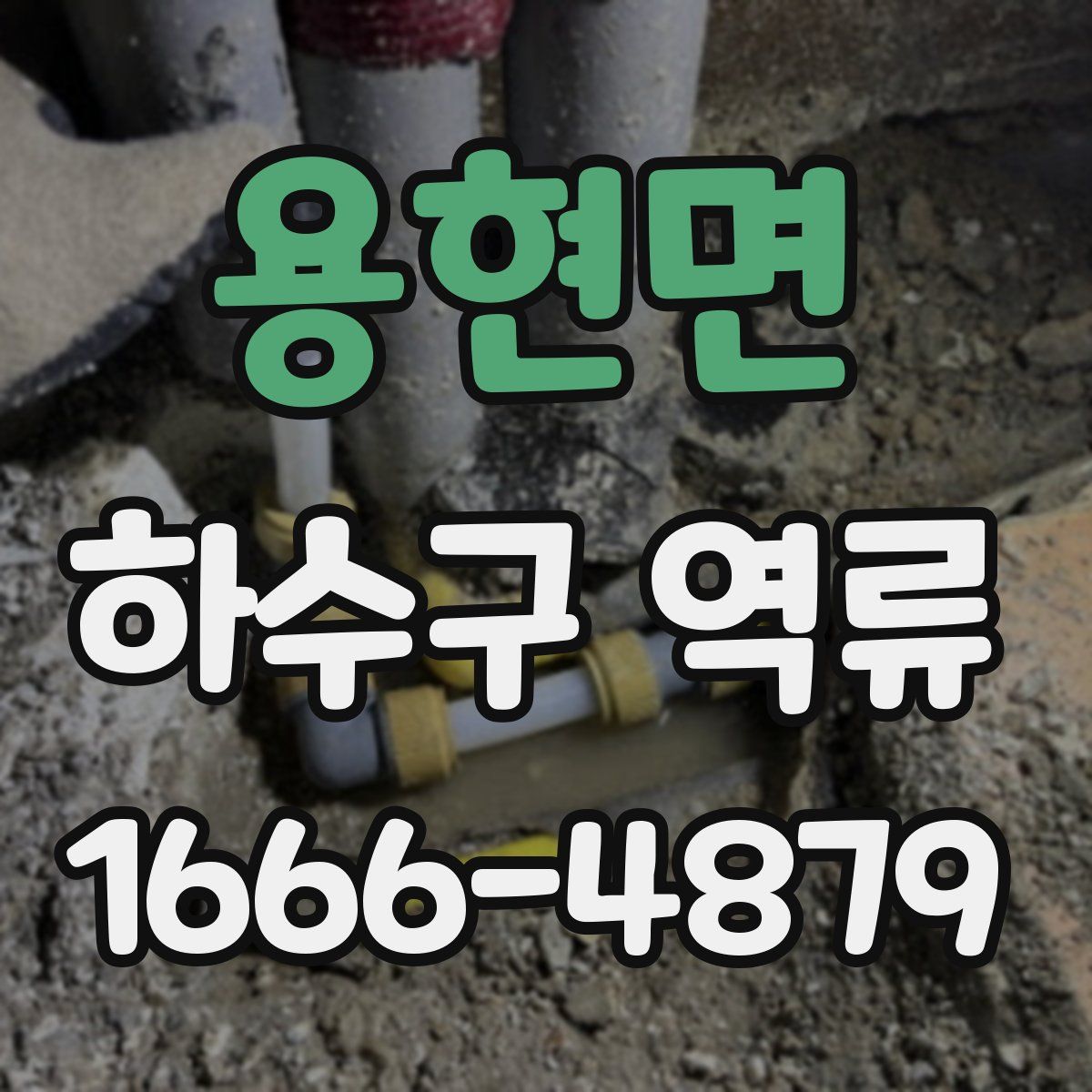 용현면 하수구 역류