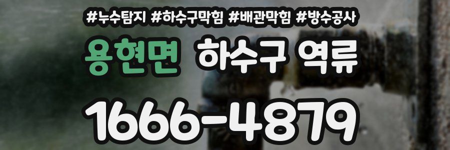 용현면 하수구 역류
