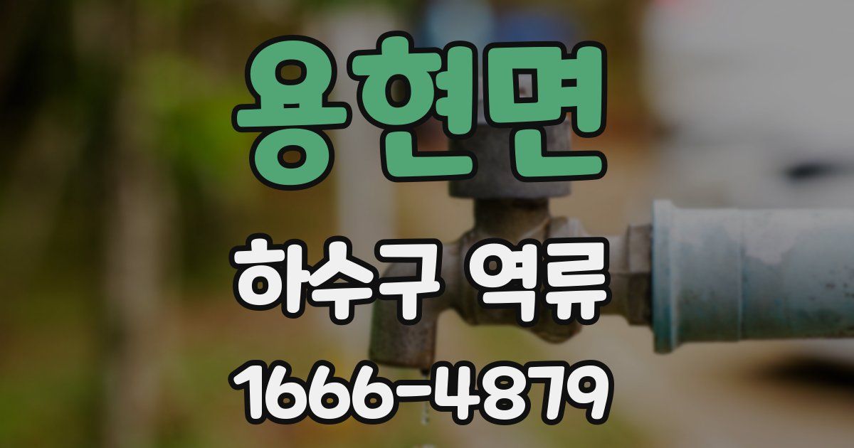 용현면 하수구 역류